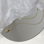 Ralph Lauren Bear Necklace ( Premium Stainless Steel Tarnish Free)
